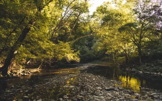 Rock Creek Park DC